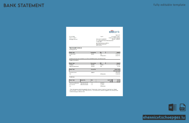 Citibank-Kontoauszug Deutschland (Excel- und PDF-Format, Beispielansicht)